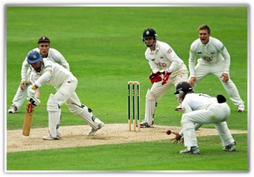 cricket betting tips